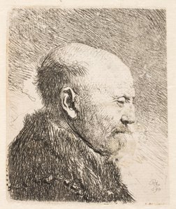 Bald Man in Profile by Rembrandt van Rijn