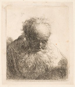 Bust of an Old Man with Flowing Beard: The Head Bowed Forward: Left Shoulder Unshaded by Rembrandt van Rijn