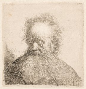 Bust of an Old Man with Flowing Beard by Rembrandt van Rijn