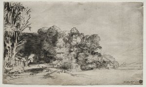 Clump of Trees with a Vista