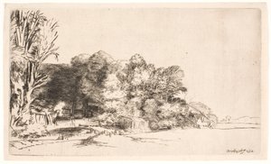 Clump of Trees with a Vista