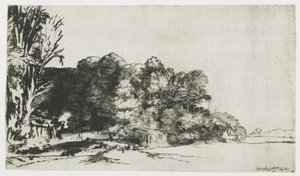 Clump of Trees with a Vista by Rembrandt van Rijn
