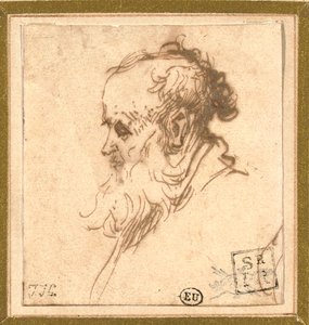Head of a Bearded Man in Profile to the Left