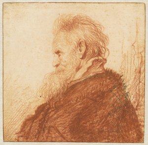 Head of an Old Man