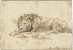 Lying Lion by Rembrandt van Rijn