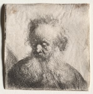 Old Man with a Flowing Beard: Bust by Rembrandt van Rijn