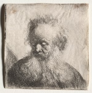 Old Man with a Flowing Beard: Bust, 1631 by Rembrandt van Rijn