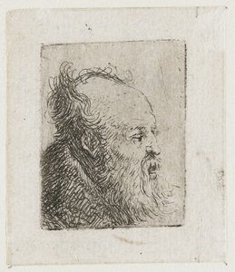 Old Bearded Man, Mouth Half Open by Rembrandt van Rijn