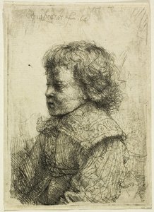 Portrait of a Boy by Rembrandt van Rijn