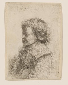 Portrait of a Boy in Profile by Rembrandt van Rijn