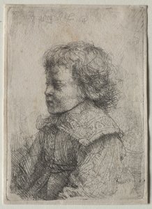 Portrait of a Boy in Profile, 1641 by Rembrandt van Rijn