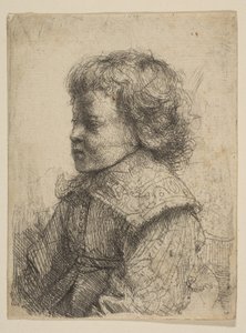 Portrait of a Boy, in Profile by Rembrandt van Rijn