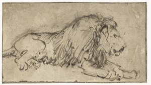 Recumbent Lion by Rembrandt van Rijn