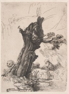Saint Jerome beside a Pollard Willow