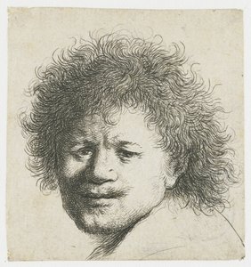Self-Portrait with Long Bushy Hair: Head Only by Rembrandt van Rijn