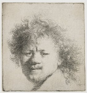 Self-portrait with Long Bushy Hair: Head Only by Rembrandt van Rijn