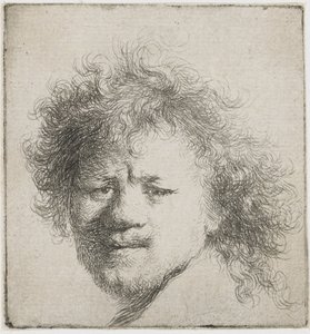 Self-Portrait with Long Bushy Hair: Head Only by Rembrandt van Rijn