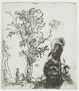 Study Sheet with a Tree, and the Upper Part of Rembrandt