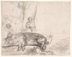 The Hog by Rembrandt van Rijn