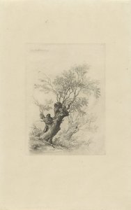 Willow Tree by Remigius Adrianus Haanen
