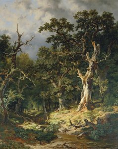 Oak Forest