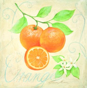 Fresh Oranges and Blossoms by Renate Holzner