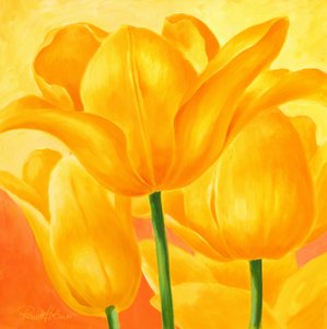 Sunny Yellow Tulips by Renate Holzner