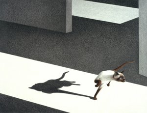 Corner by Rene Boin