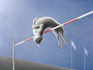 Jump by Rene Boin