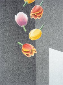 Tulips by Rene Boin