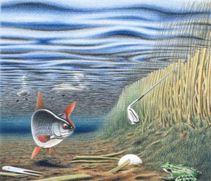 Waterhazard