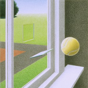Window by Rene Boin