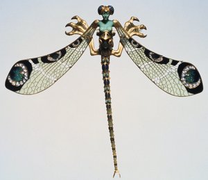 Pectoral