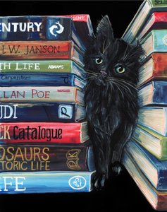 Curious Library Cat