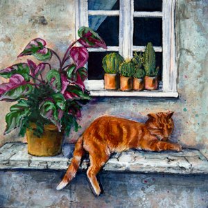 Orange Cat Window Nap