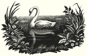 The Ugly Duckling by Rex (after) Whistler