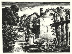The Ugly Duckling