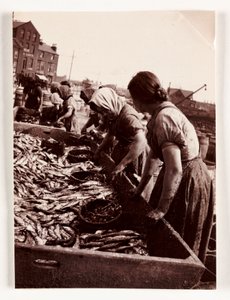 Fishing, Fisherfolk Women Sorting Fish, Whitby Harbour, North Yorkshire by John Pardon
