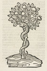The Serpent in the Tree of Knowledge by John Pardon