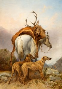 A Pony Carrying a Dead Deer