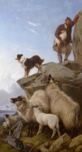 R. Ansdell, The Lost Sheep / Painting, 1868