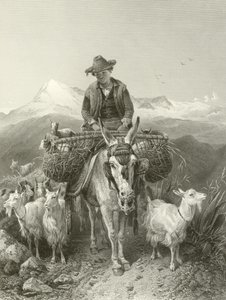 The Goatherd of Granada by Richard Ansdell