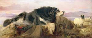 The Shepherd