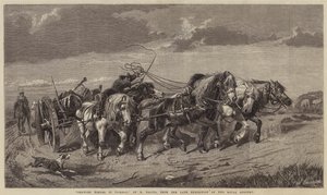 Drawing Timber in Picardy by Richard Beavis