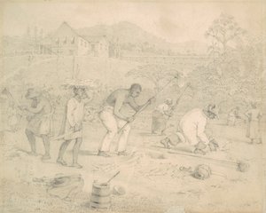 Planting the Sugar Cane, Trinidad by Richard Bridgens