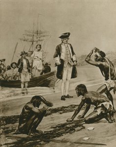 How Captain Cook Was Welcomed in Tasmania by Richard Caton Woodville junior