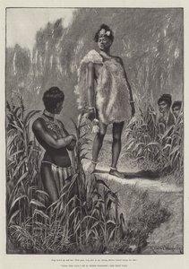 Nada the Lily, by H Rider Haggard