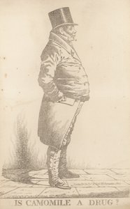 Mr Bowden; Is Camomile a Drug by Richard Dighton