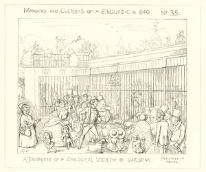 A prospect of the Zoological Societys Gardens (1849)