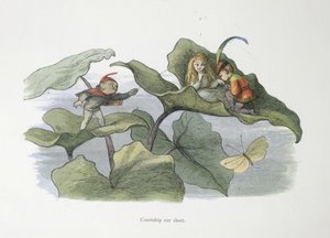 Courtship Cut Short